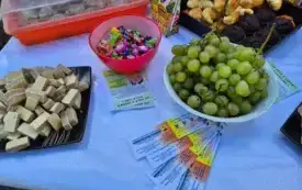 IMG-20250929-WA0003