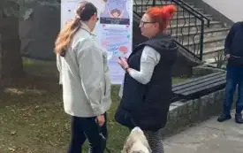 Galeria aktualności Międzynarodowy Dzień Bez Przemocy 22