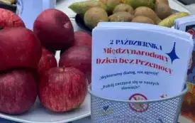 Galeria aktualności Międzynarodowy Dzień Bez Przemocy 25